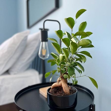 Apartamenty Rynek 7 Cieszyn  Eksteriør billede
