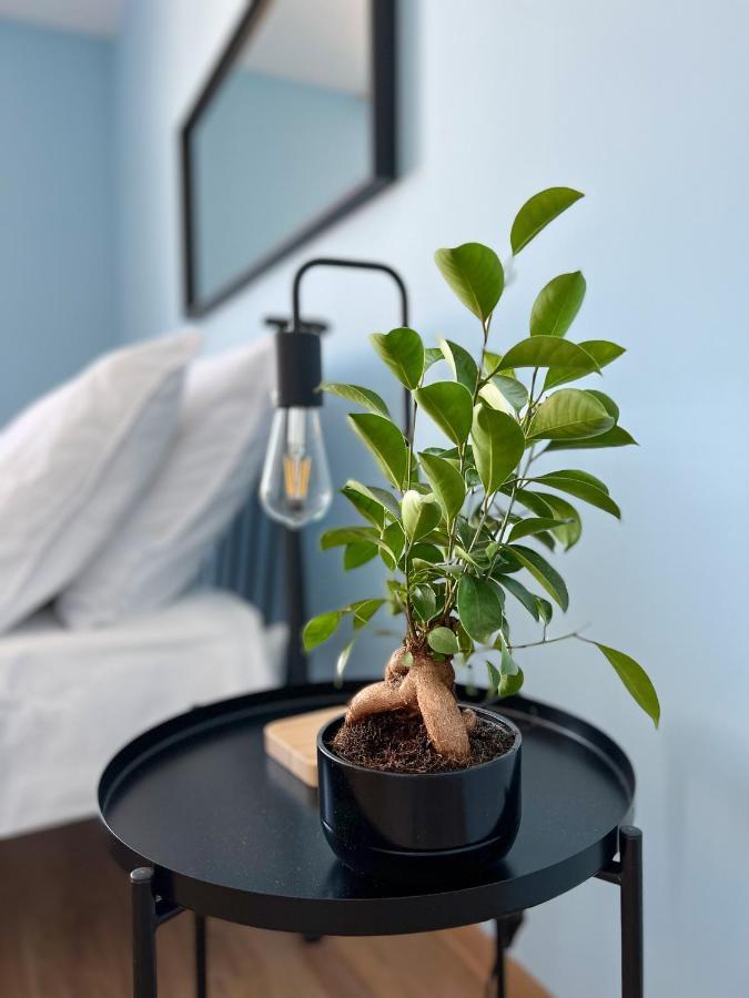 Apartamenty Rynek 7 Cieszyn  Eksteriør billede