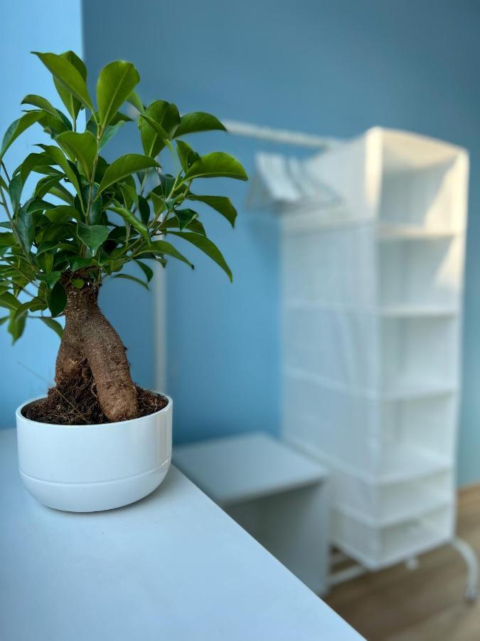 Apartamenty Rynek 7 Cieszyn  Eksteriør billede